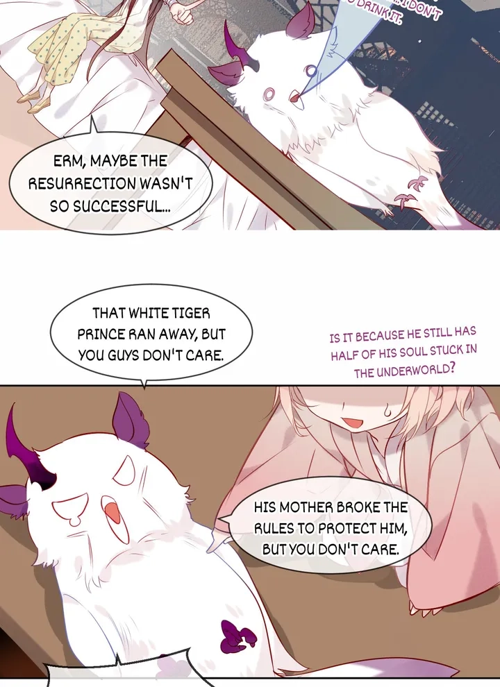 Read My Phoenix