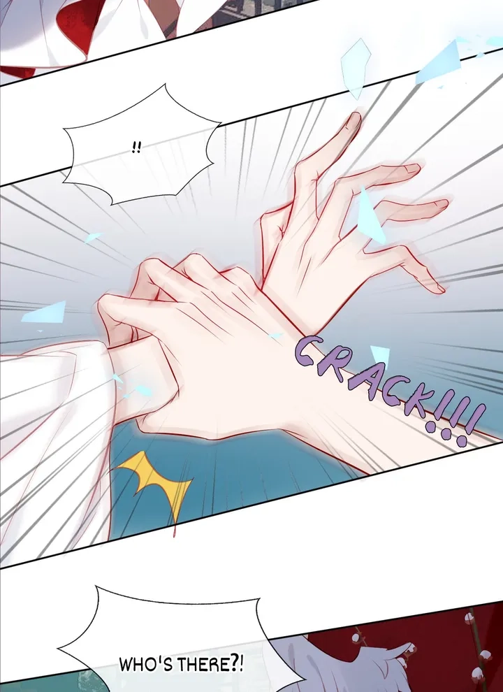 Read My Phoenix