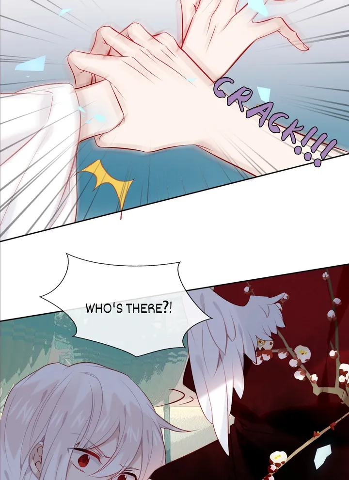 Read My Phoenix
