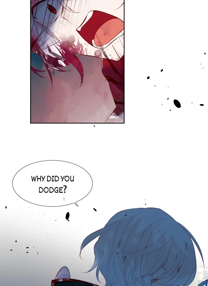 Read My Phoenix