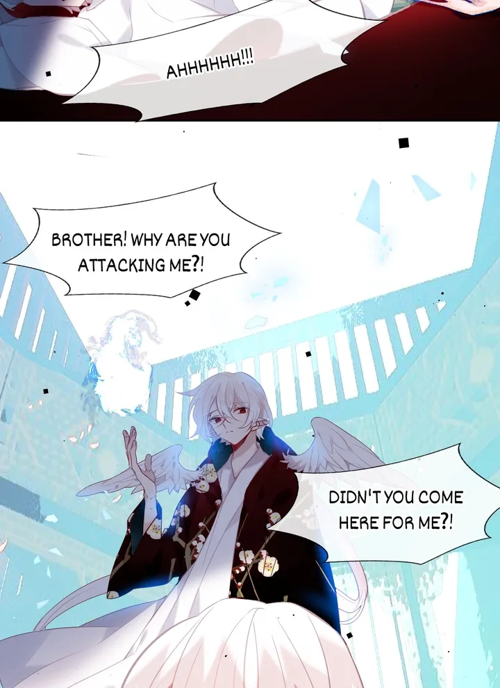 Read My Phoenix