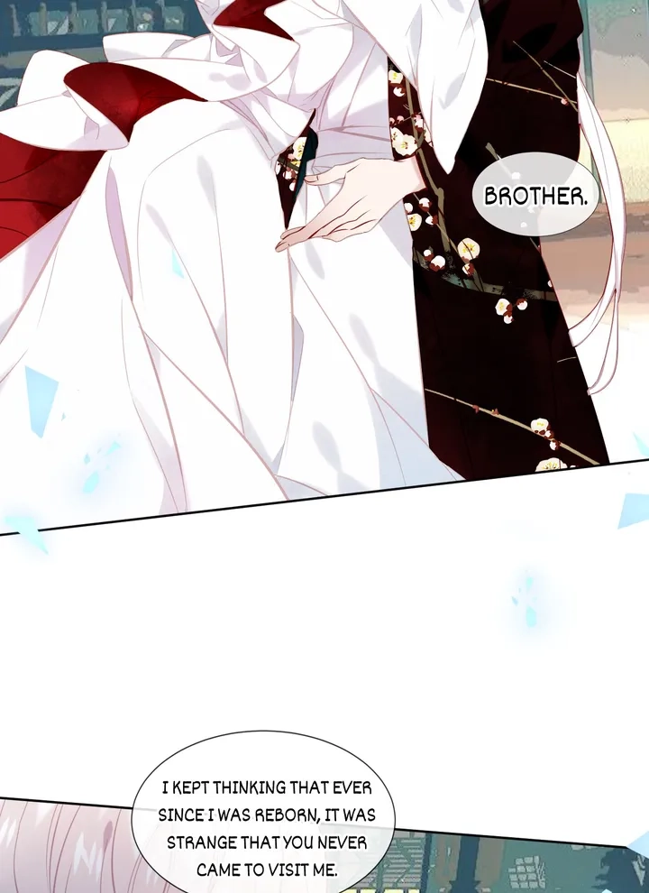 Read My Phoenix