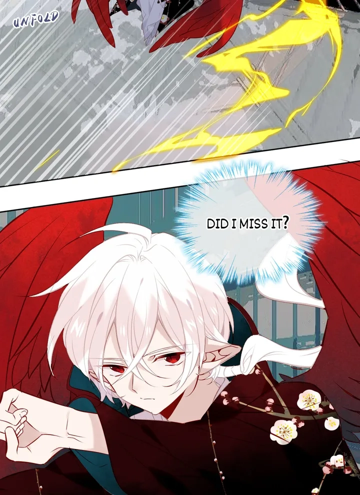 Read My Phoenix