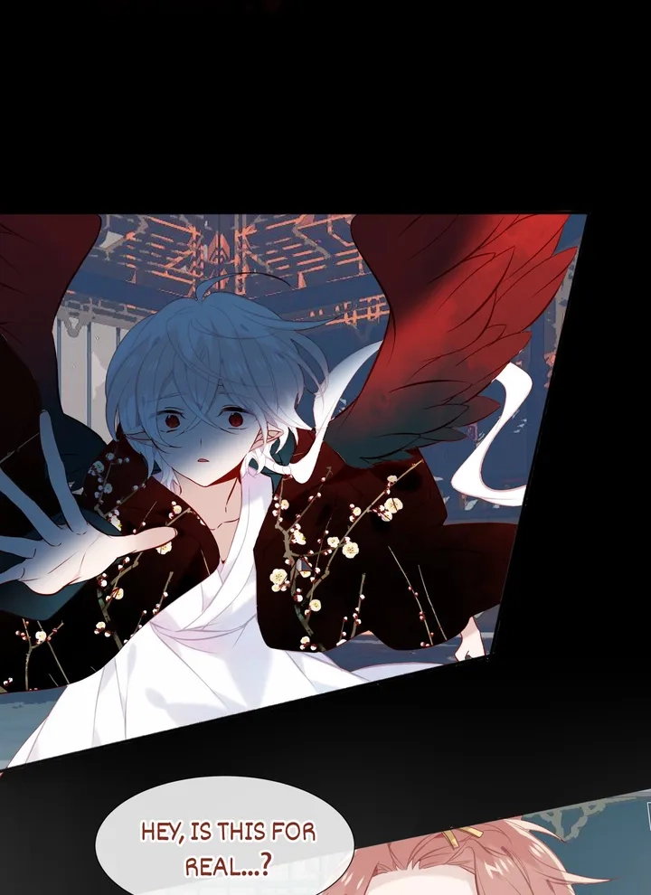 Read My Phoenix