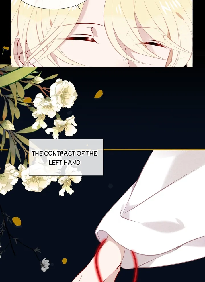 Read My Phoenix
