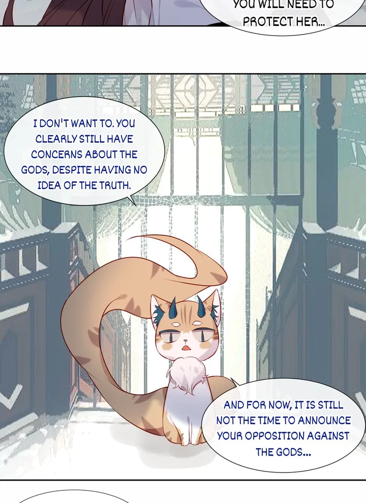Read My Phoenix