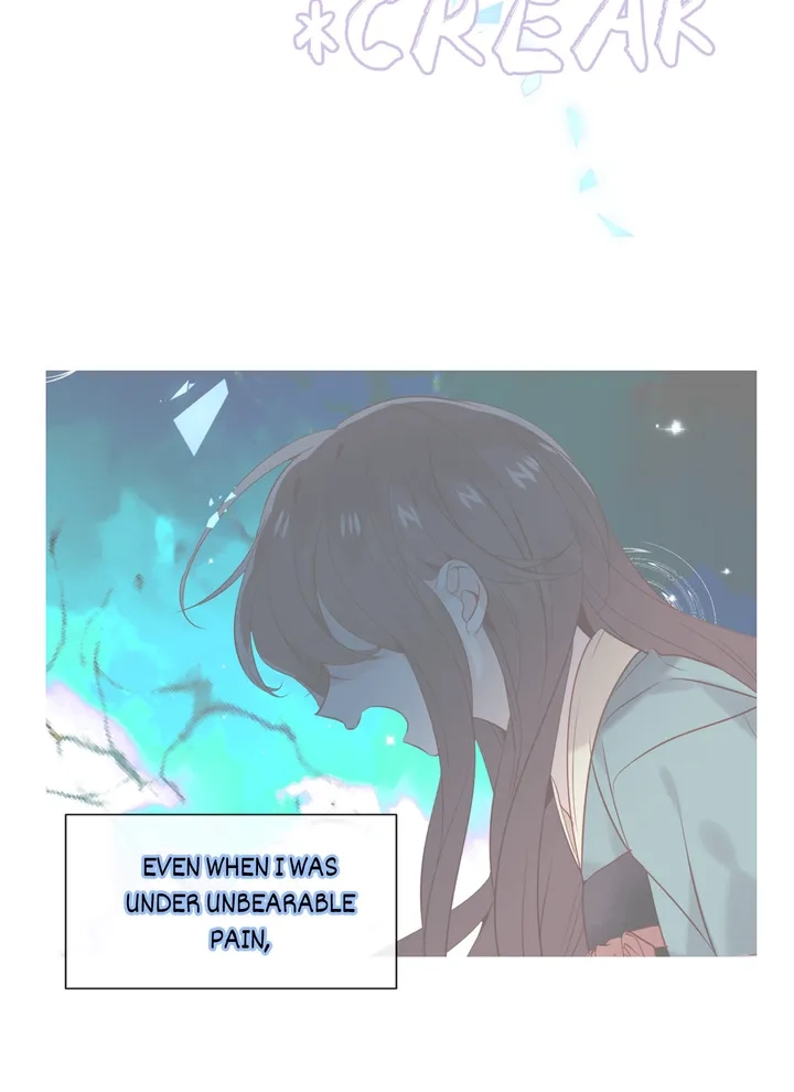 Read My Phoenix