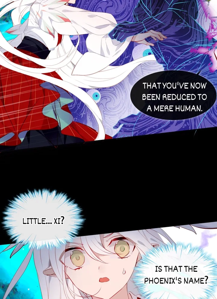 Read My Phoenix