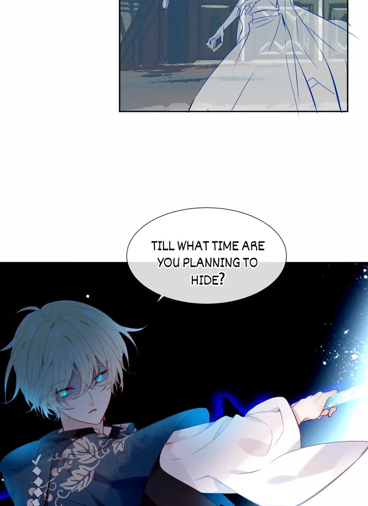 Read My Phoenix