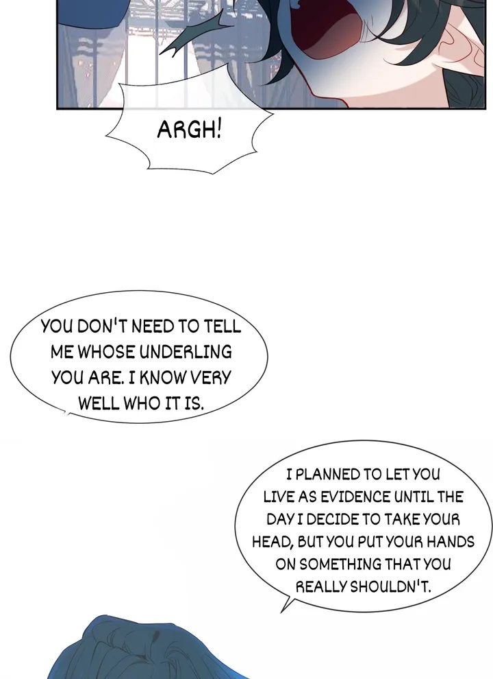 Read My Phoenix