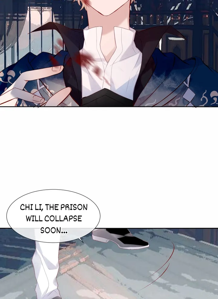 Read My Phoenix