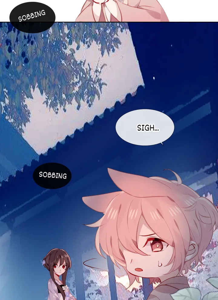 Read My Phoenix