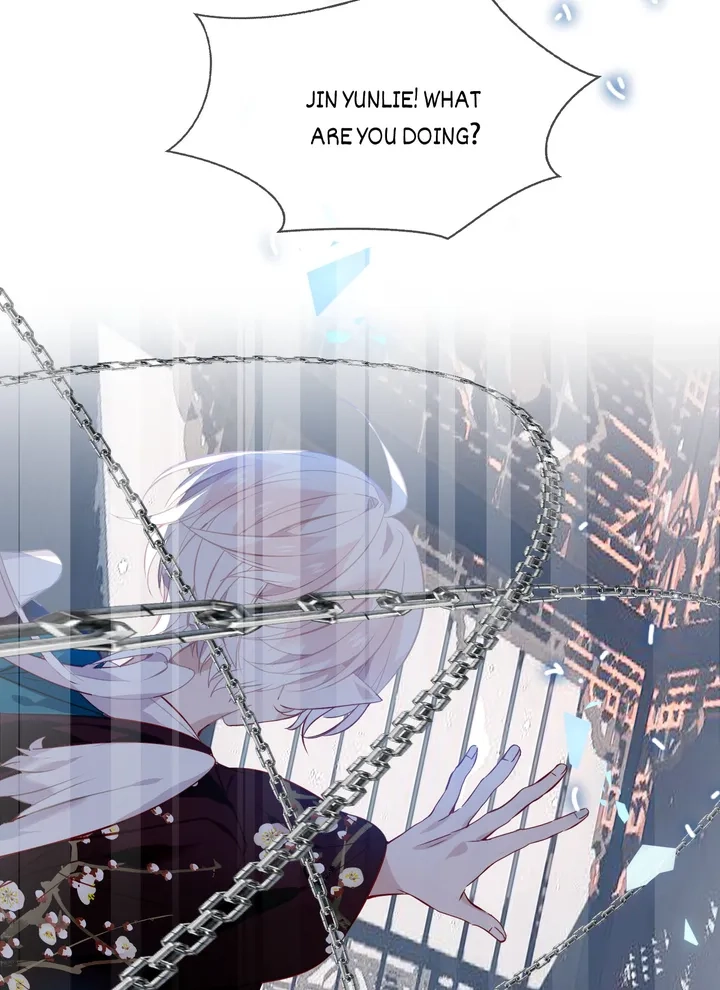 Read My Phoenix