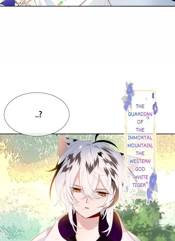 Read My Phoenix