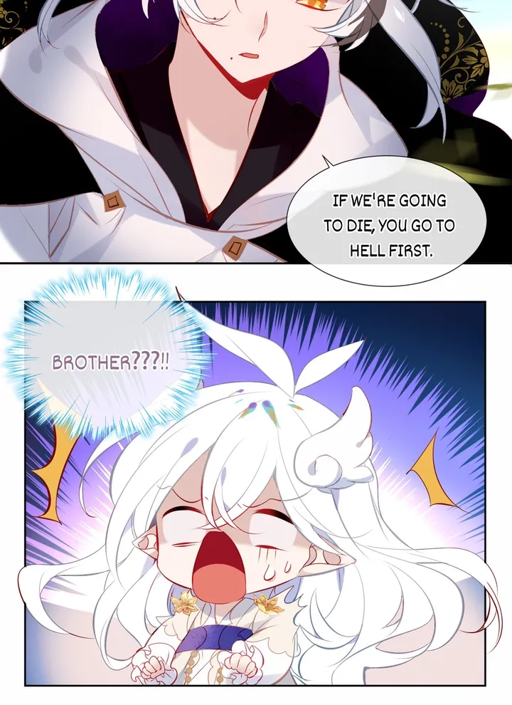 Read My Phoenix