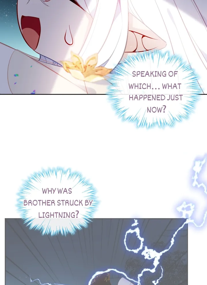 Read My Phoenix