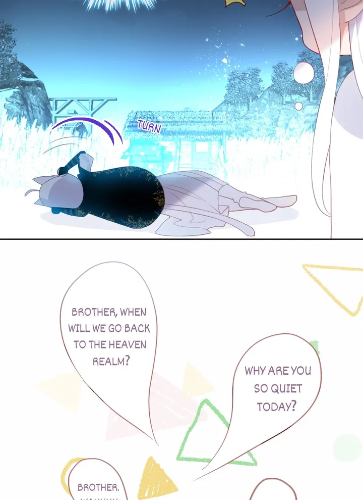 Read My Phoenix