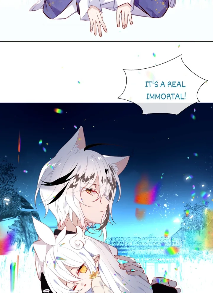 Read My Phoenix