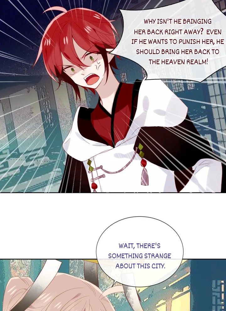 Read My Phoenix