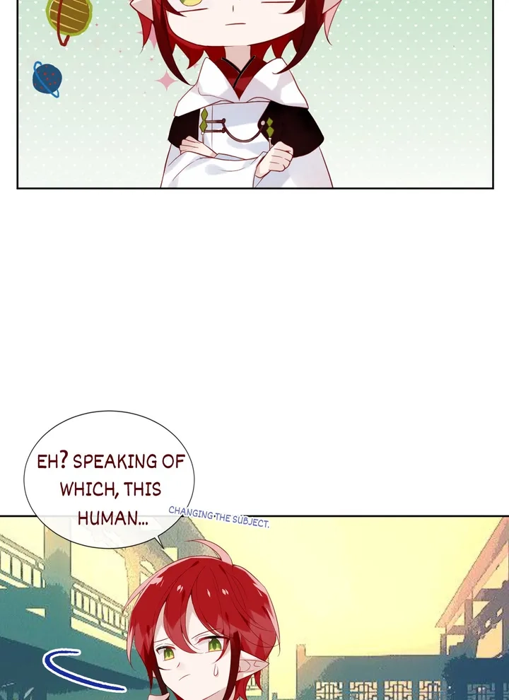 Read My Phoenix