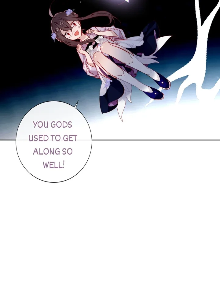 Read My Phoenix