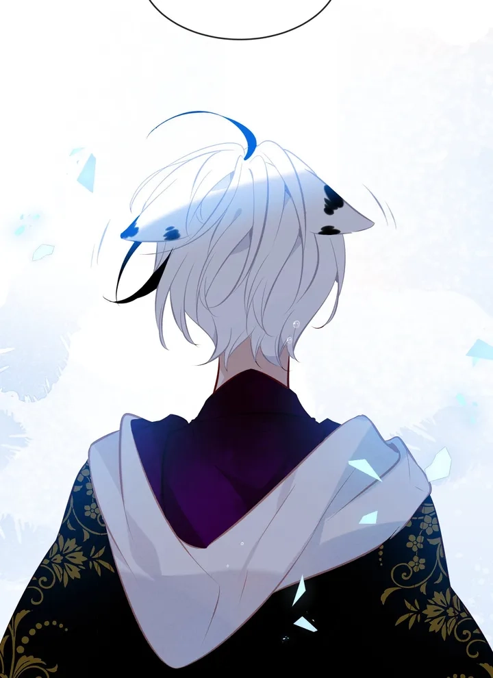 Read My Phoenix