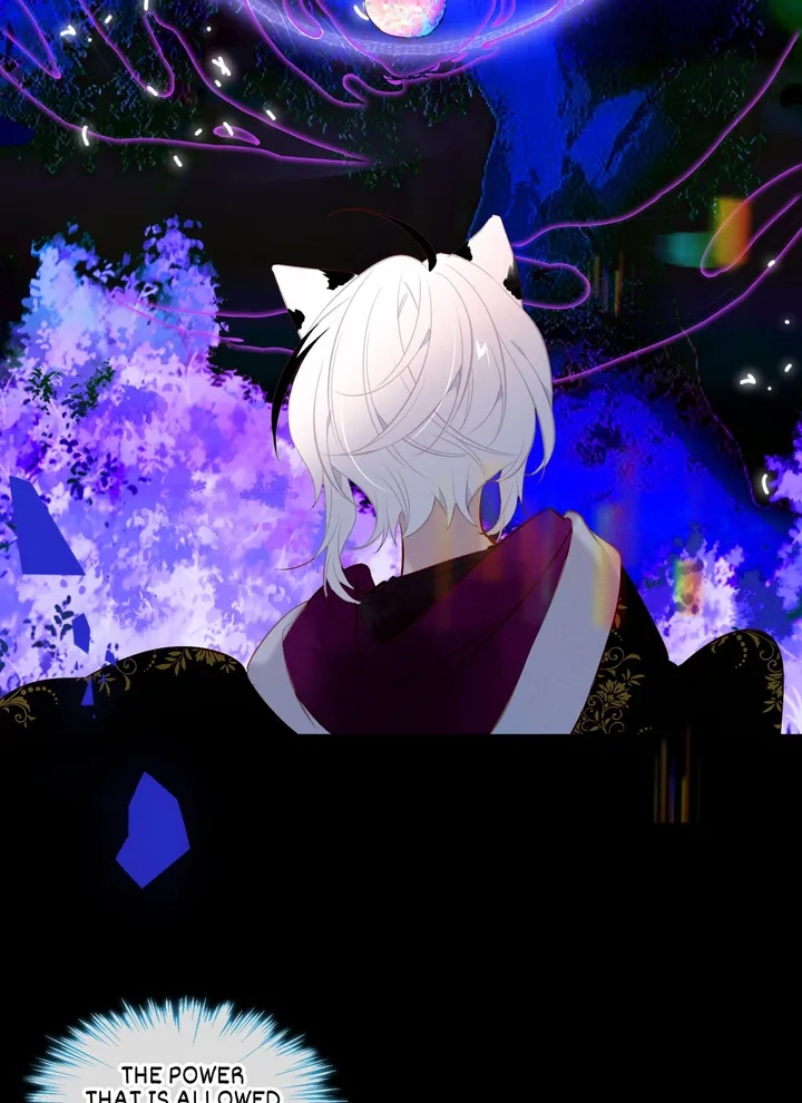 Read My Phoenix