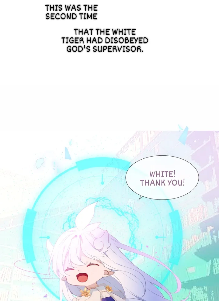 Read My Phoenix