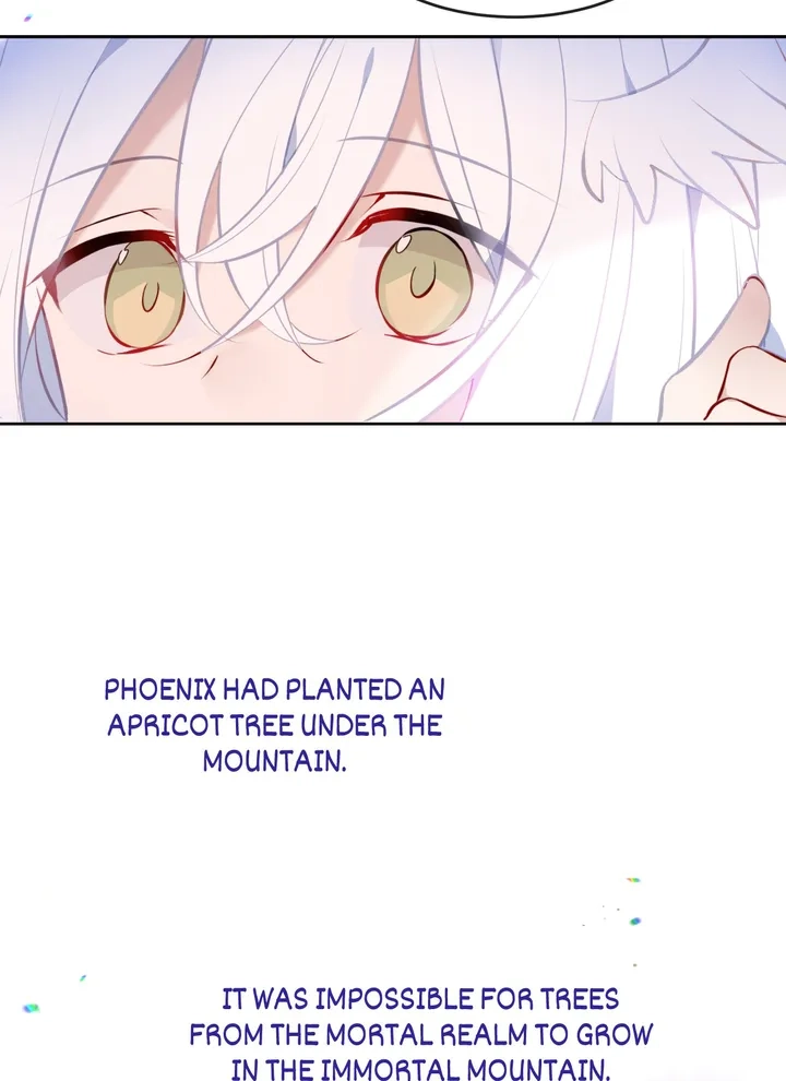 Read My Phoenix