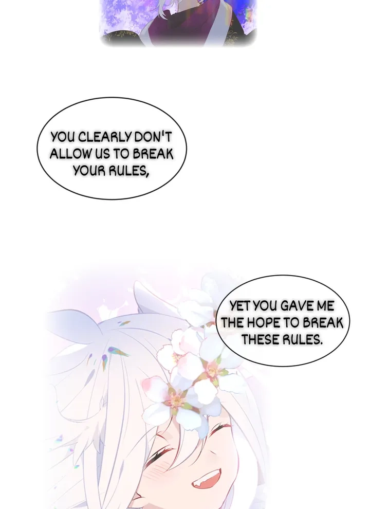 Read My Phoenix