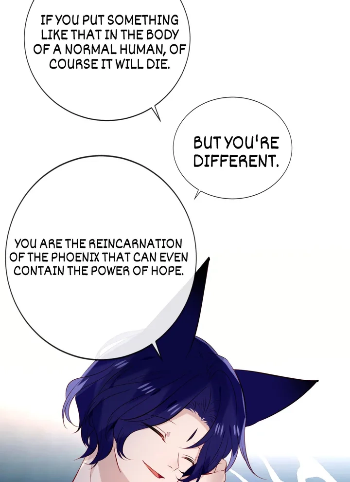 Read My Phoenix