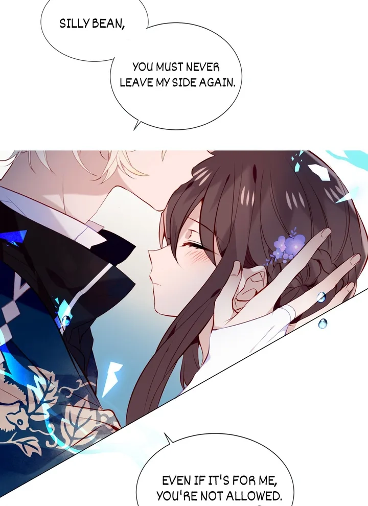 Read My Phoenix