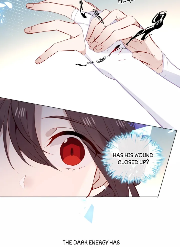 Read My Phoenix