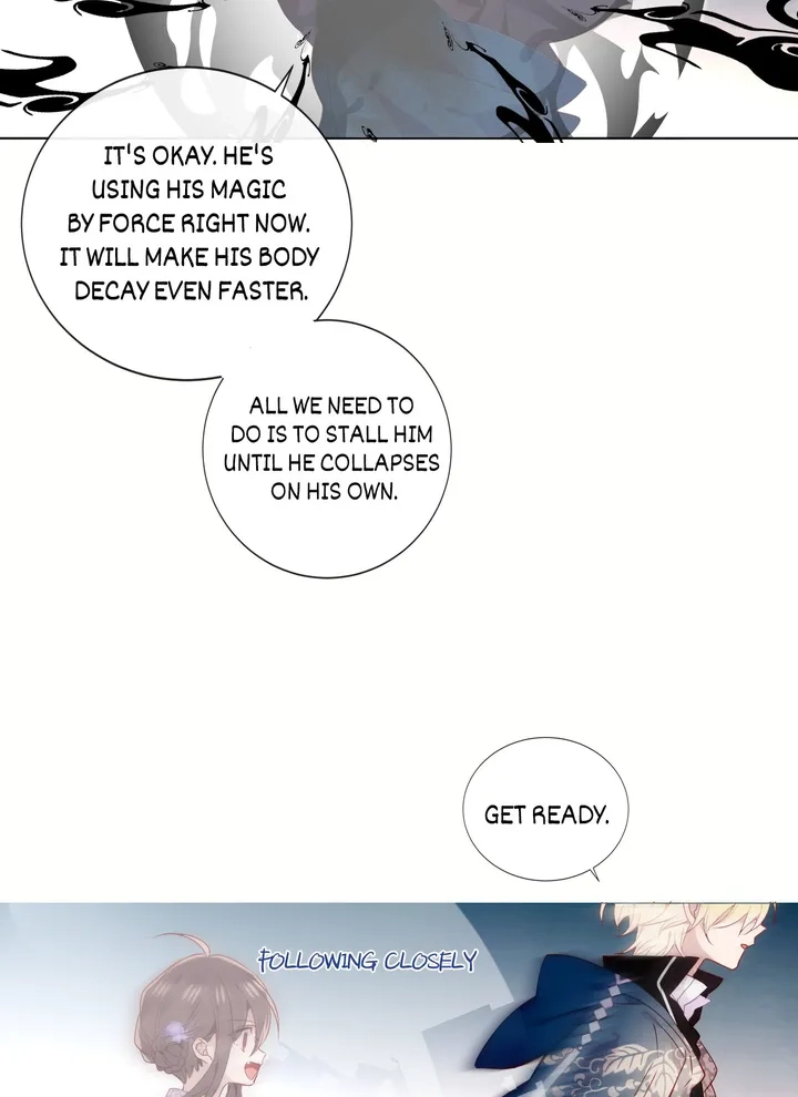 Read My Phoenix