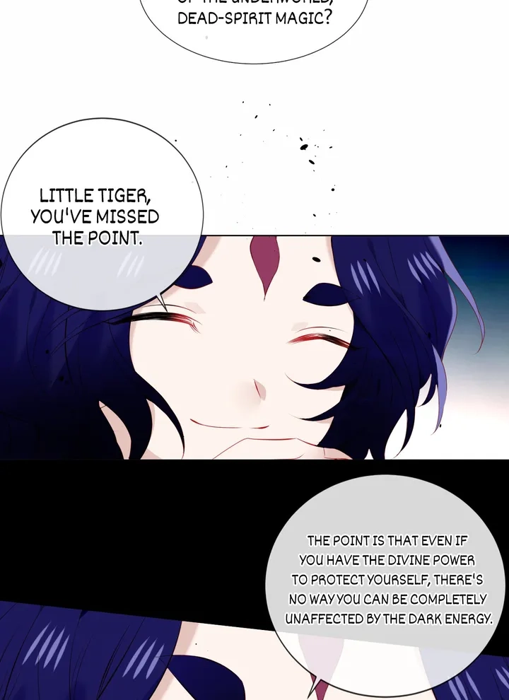 Read My Phoenix