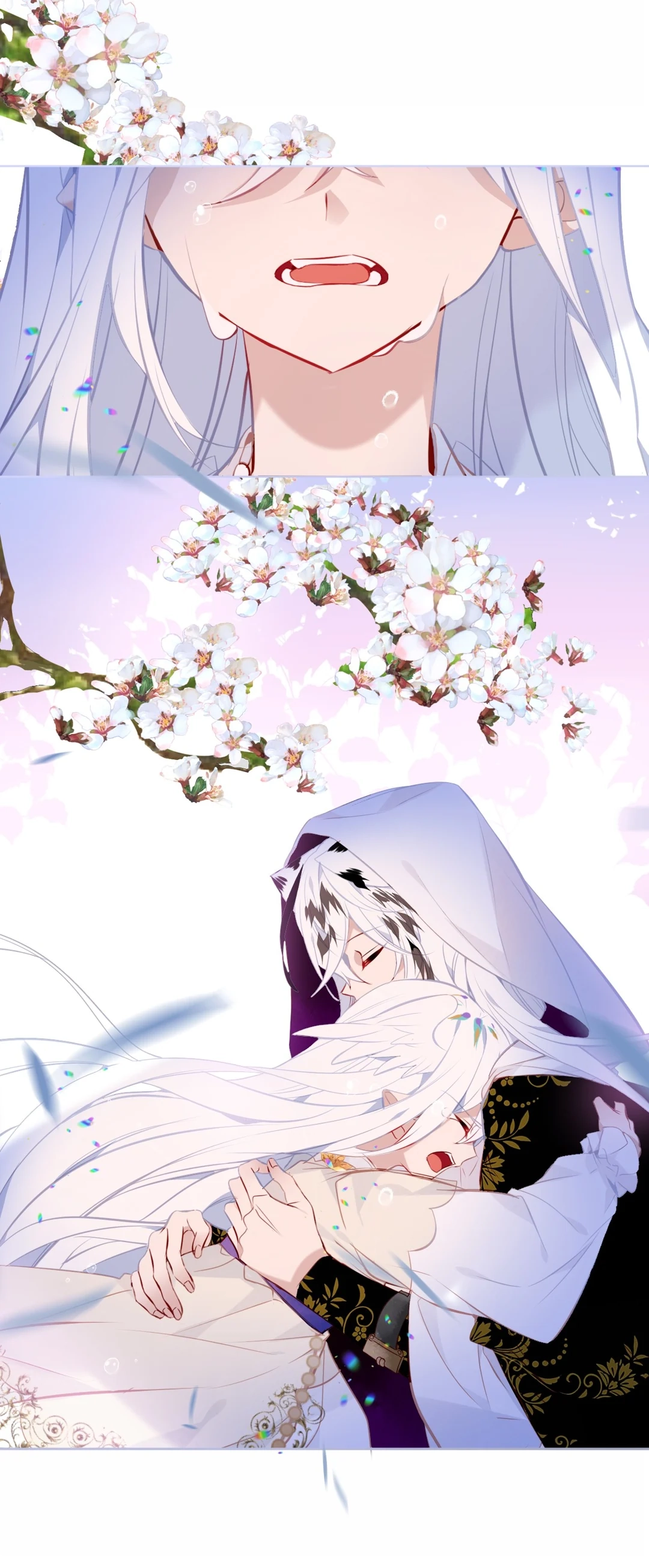 Read My Phoenix