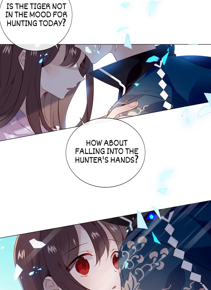 Read My Phoenix