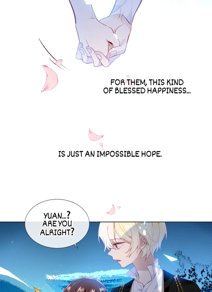 Read My Phoenix