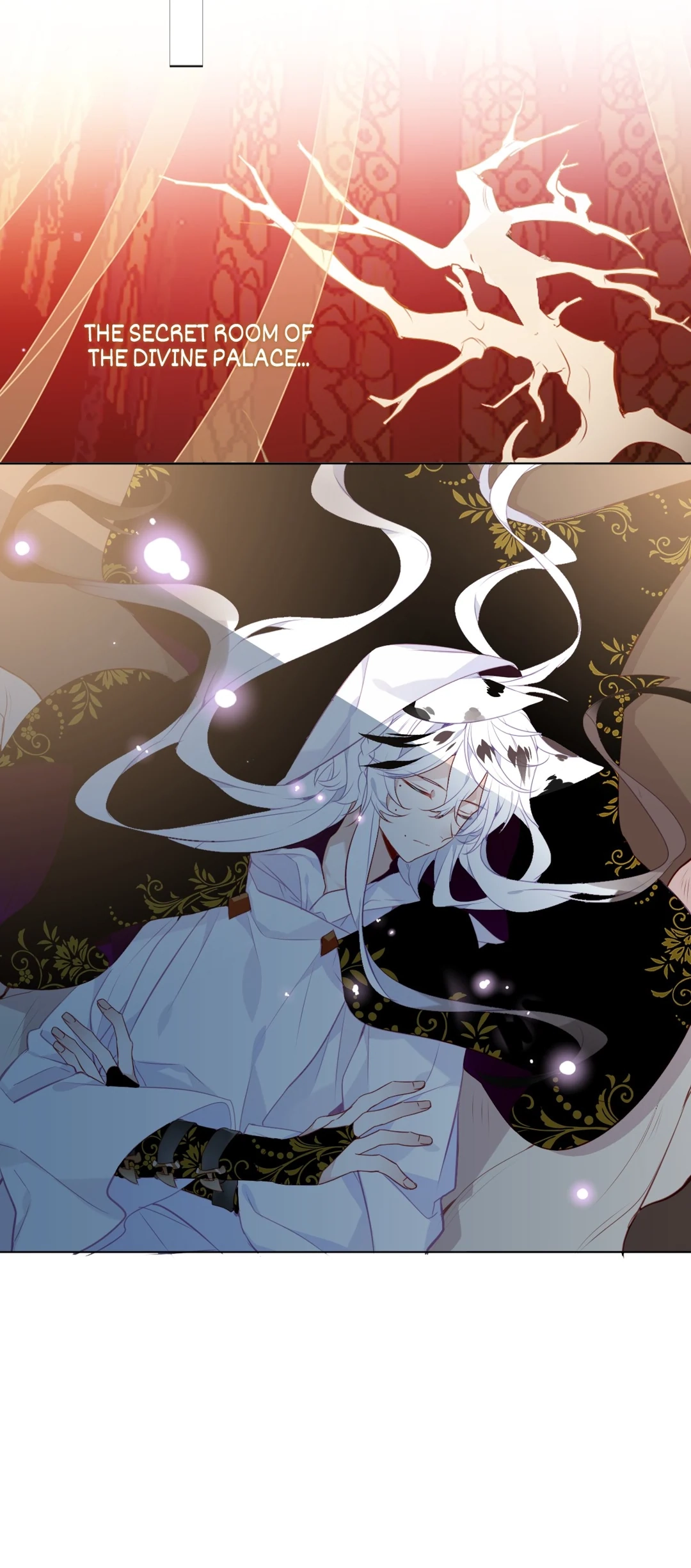 Read My Phoenix