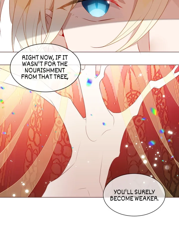 Read My Phoenix