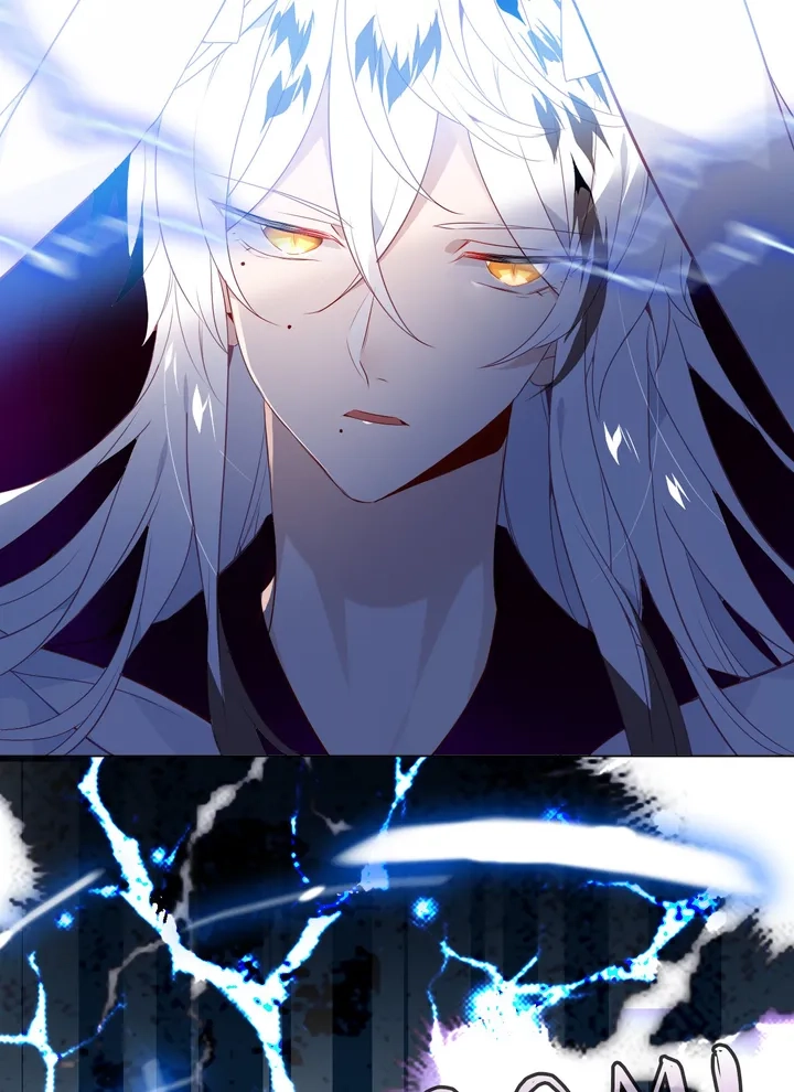 Read My Phoenix