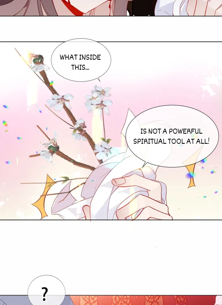 Read My Phoenix