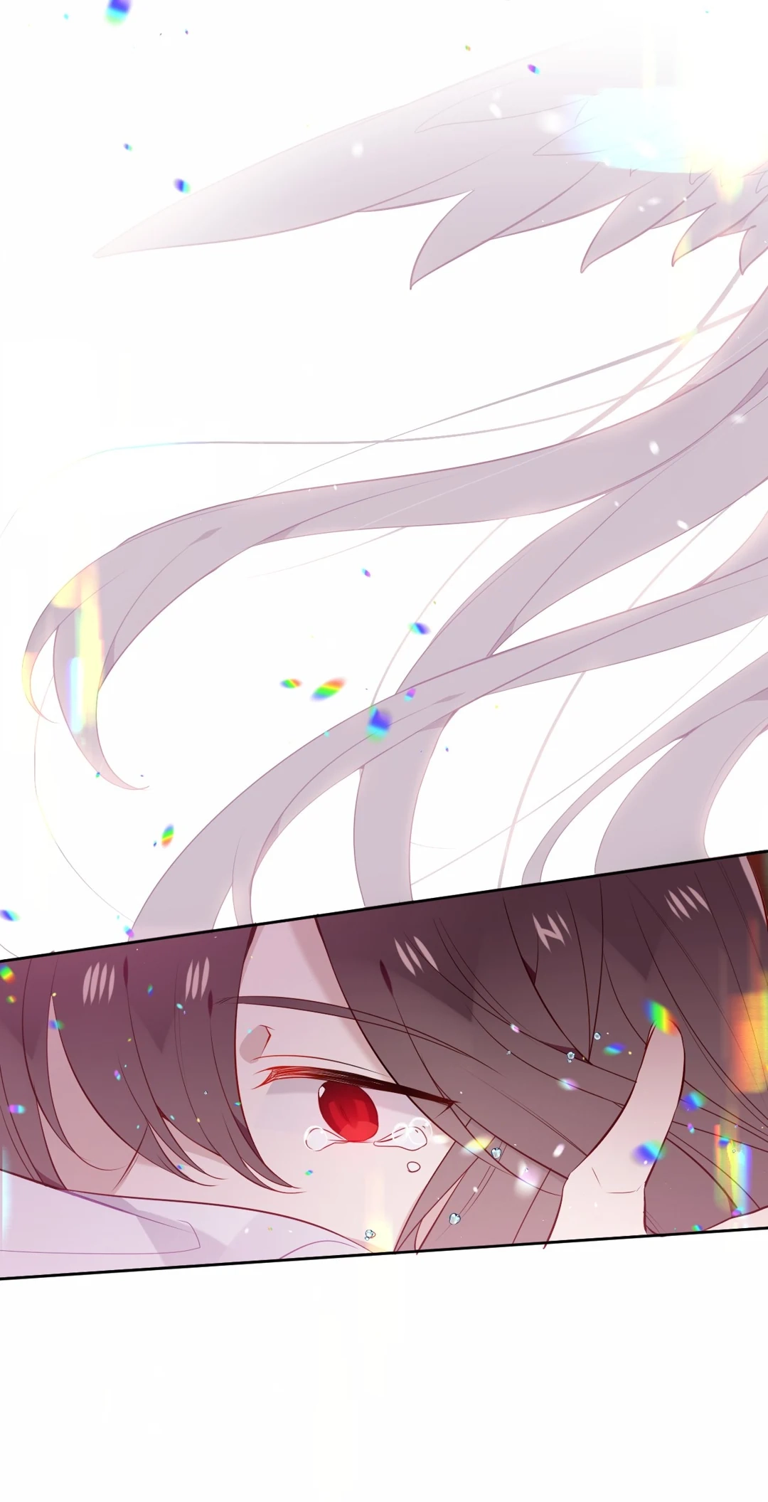 Read My Phoenix