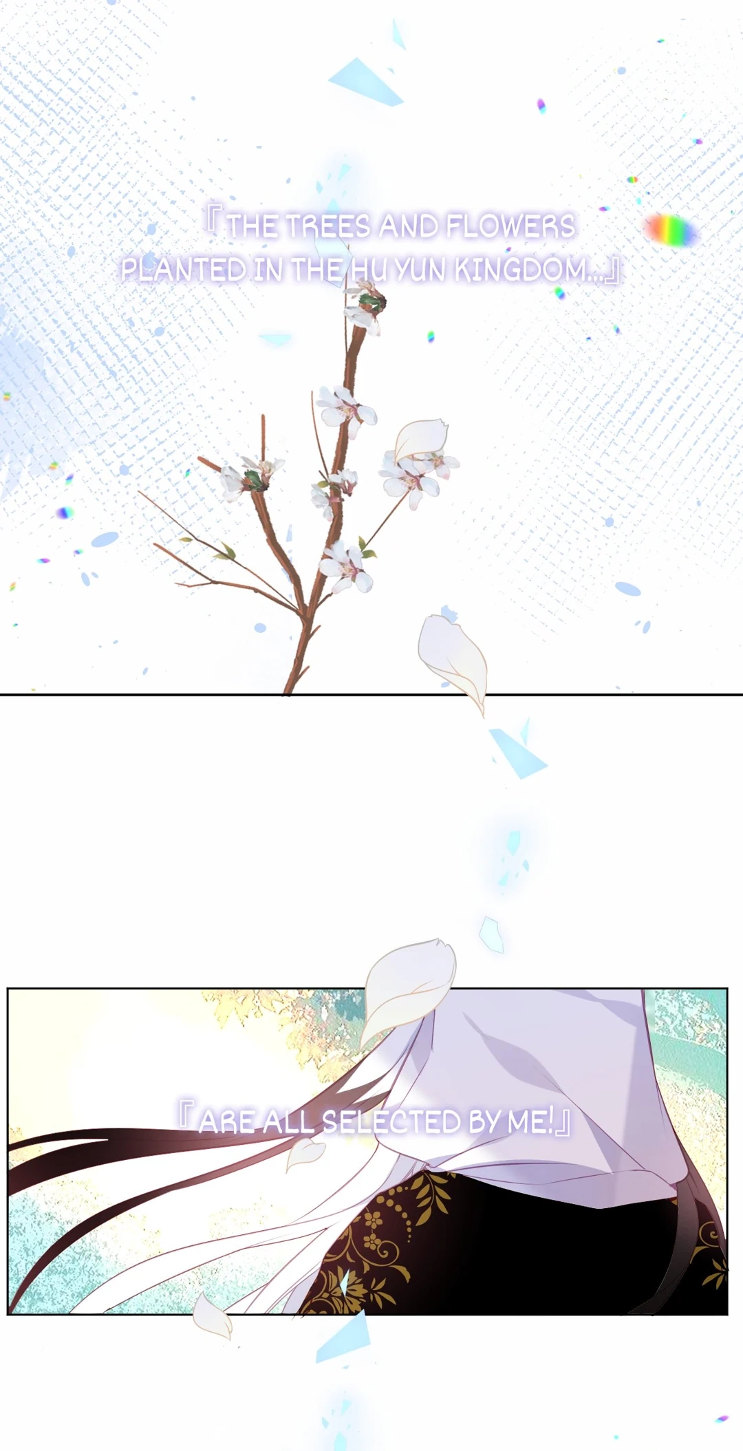 Read My Phoenix