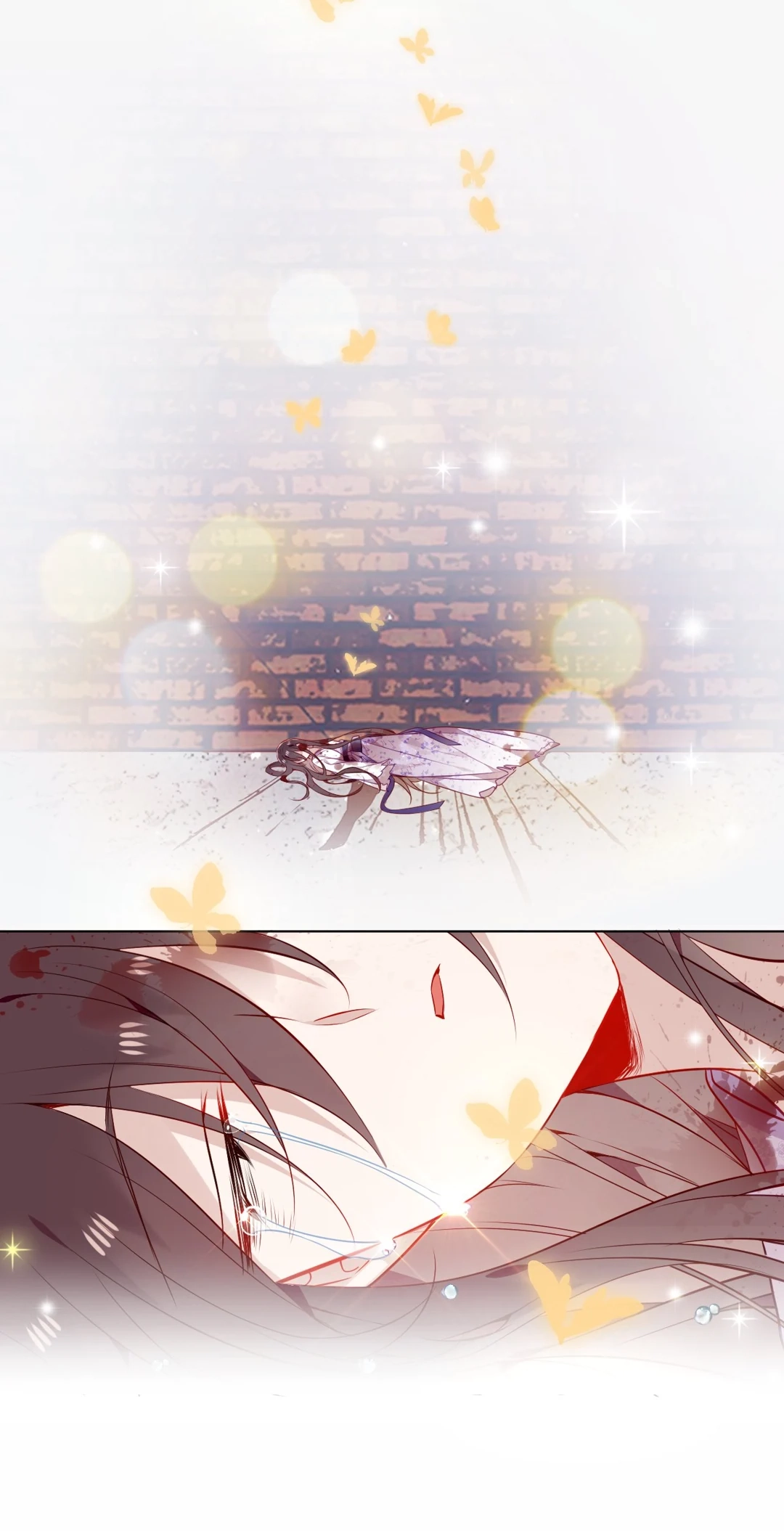 Read My Phoenix