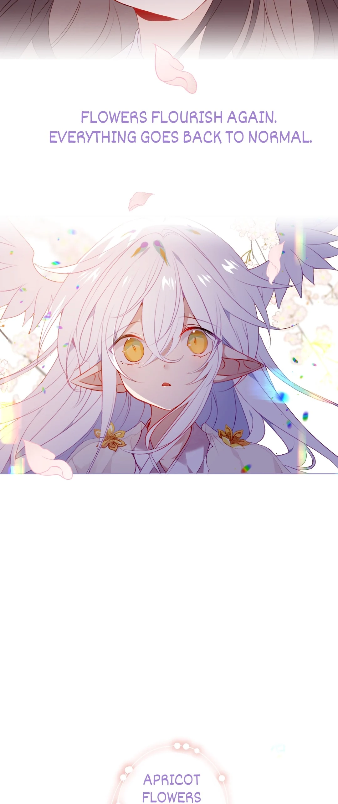 Read My Phoenix