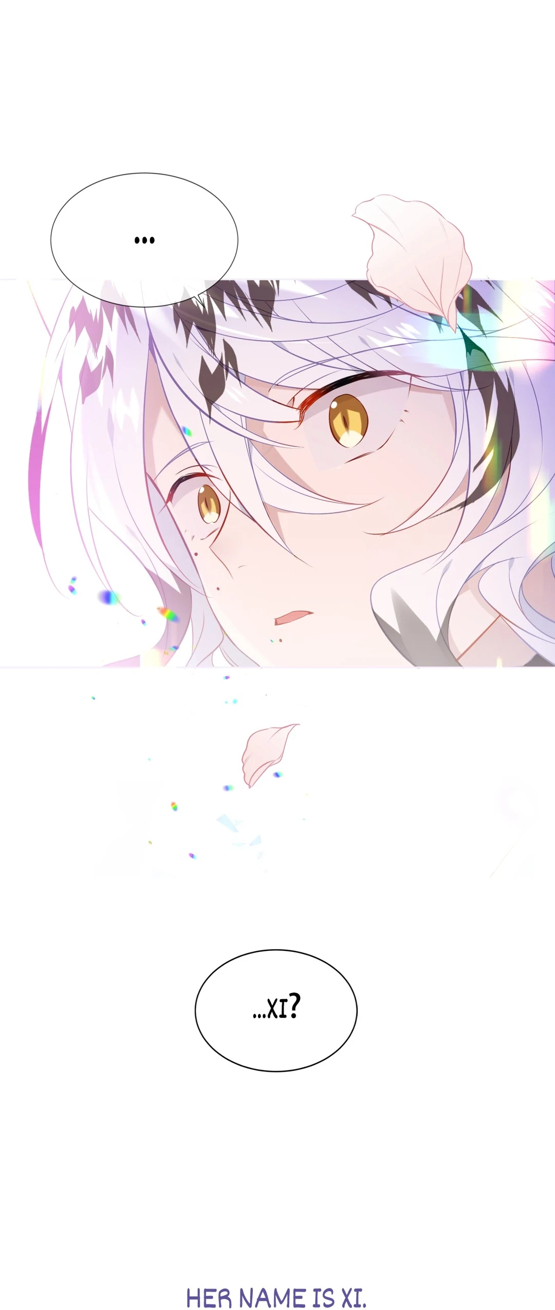 Read My Phoenix
