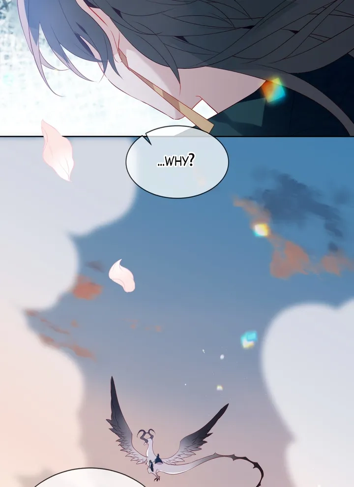 Read My Phoenix