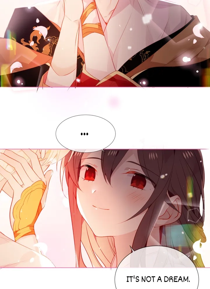 Read My Phoenix