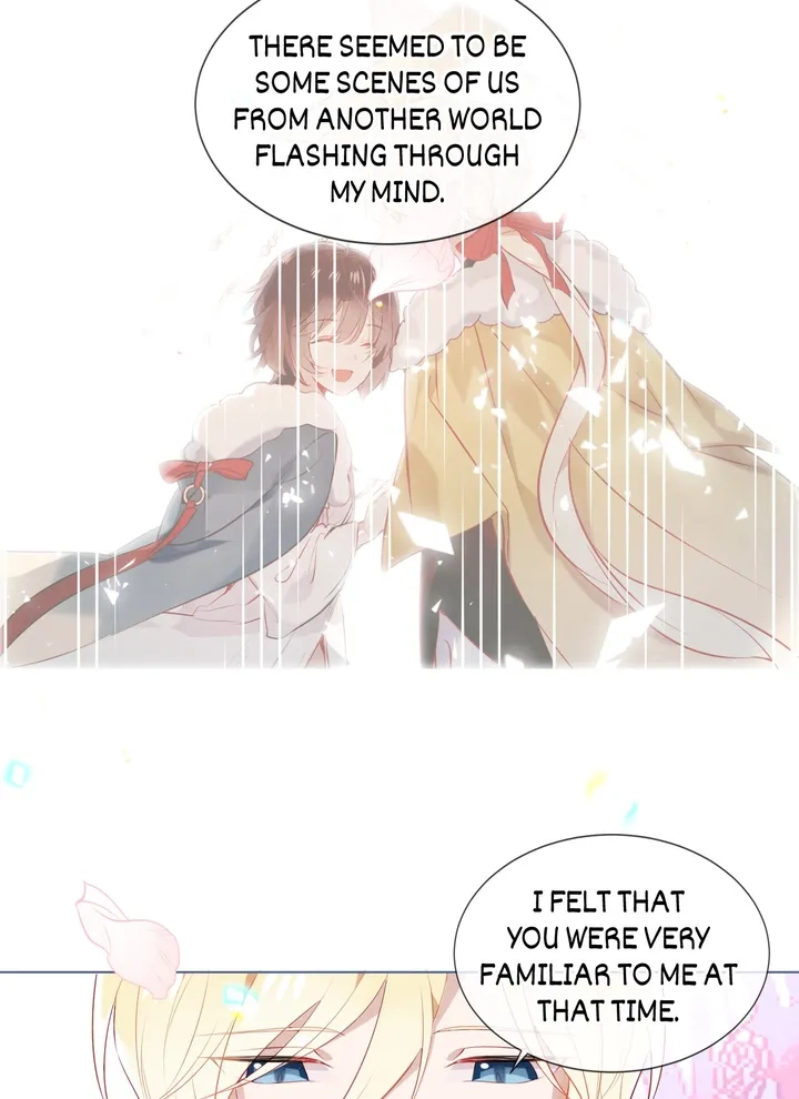 Read My Phoenix